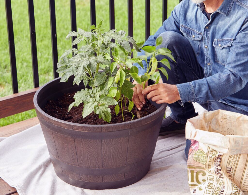 Container Gardening For Beginners: Growing Healthy Plants In Any Area